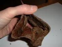 Axe Head Bottom.webp
