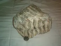 IM001091.webp