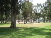 Rec Park LB (Large).webp