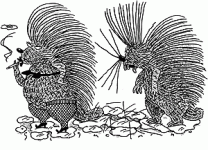 PORCUPINES.gif