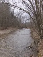 creek.webp