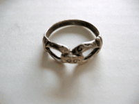 Resized_Ring Edited.gif