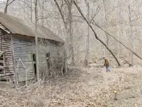 house1.webp