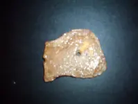 gorget.webp