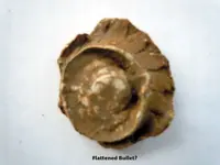 FlattenedBullet.webp FlattenedBullet.webp