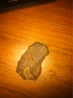 image-1691456878.webp