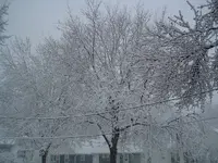 snow 003.webp