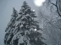 snow 005.webp