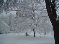 snow 008.webp