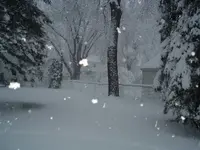 snow 009.webp