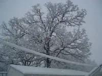 snow 010.webp