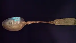 Silver spoon.webp