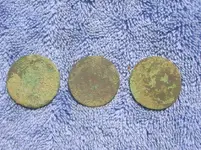Toasted Coppers.webp