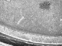 0502_1.webp
