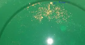 gold.webp