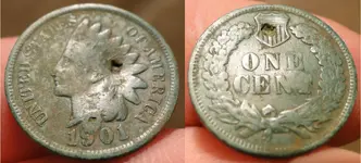 1901 Indian.webp