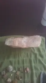 IMAG1303.webp