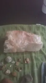 IMAG1304.webp