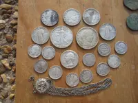 new silver.webp