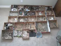 2012-13 finds1a.webp