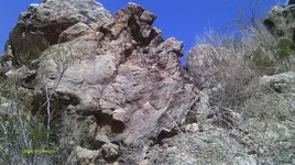 IMAG0209 (4).webp