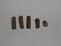 bullets.webp