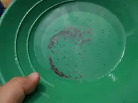 DSCN0123.webp