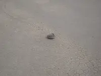 DSCN4893.webp