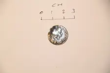 OtherCoin3_A.webp