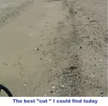 DSCF2219.webp