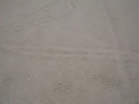 DSCN4912.webp