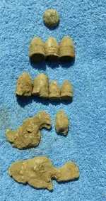 DSCN0547 (340x640).webp