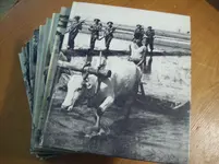 WW2.webp