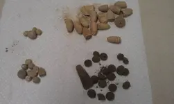4-5-13dirty.webp