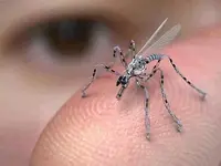 mosquito Drone.webp