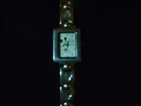 DSC01451.webp