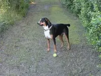 DSC00333.webp DSC00333.webp