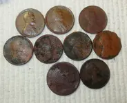 5 Sites V and LD 04 2013 Wheats Buff Obv.webp