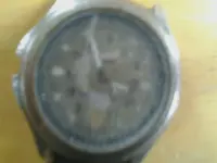 timex.webp