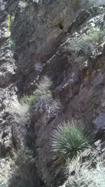IMAG0187 (5).webp