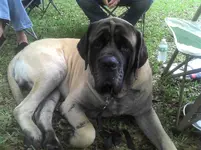 2013-04-20_17-05-19_515(1).webp