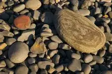 Rocks.webp