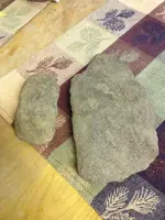image-891676742.webp