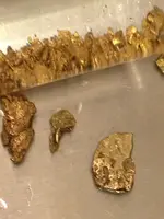 gold.webp