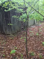 image-4089176546.webp