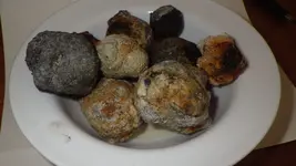 IMGP0400.webp