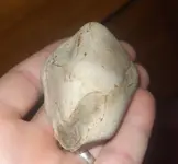 DSCF2072.webp