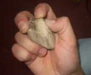 DSCF2073.webp