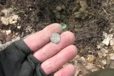 Silver button.webp