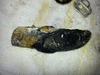 20130506_165039.webp